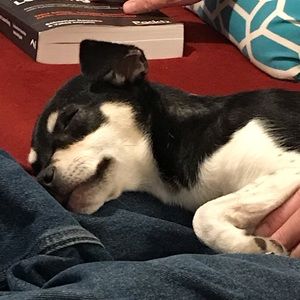 Meet your Posher, Erin